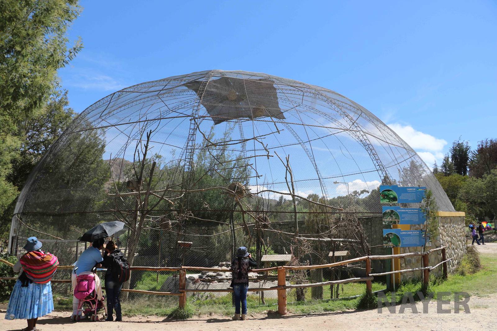 Parrot aviary, March 2016