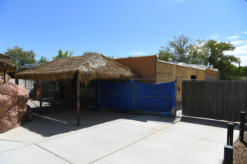 parrot aviary renovation