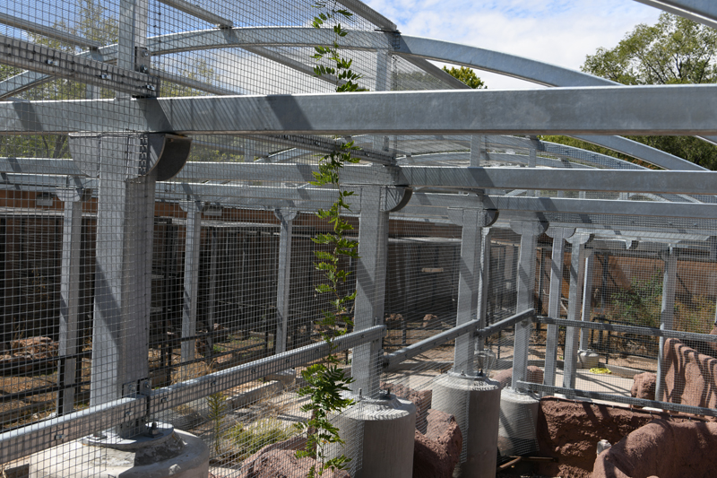 parrot aviary renovation