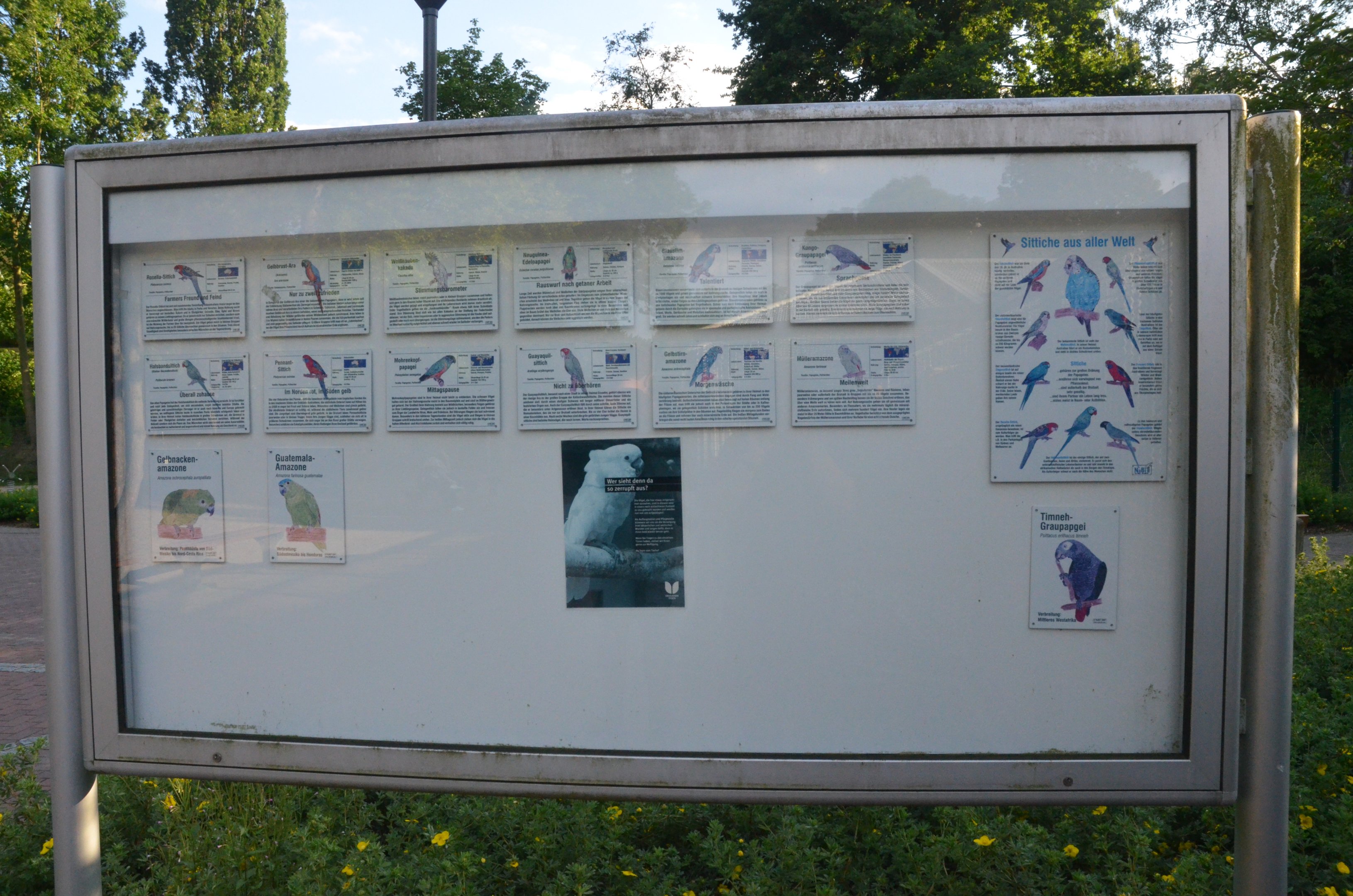 Parrot Aviary Signage at Grugapark, 17/06/19