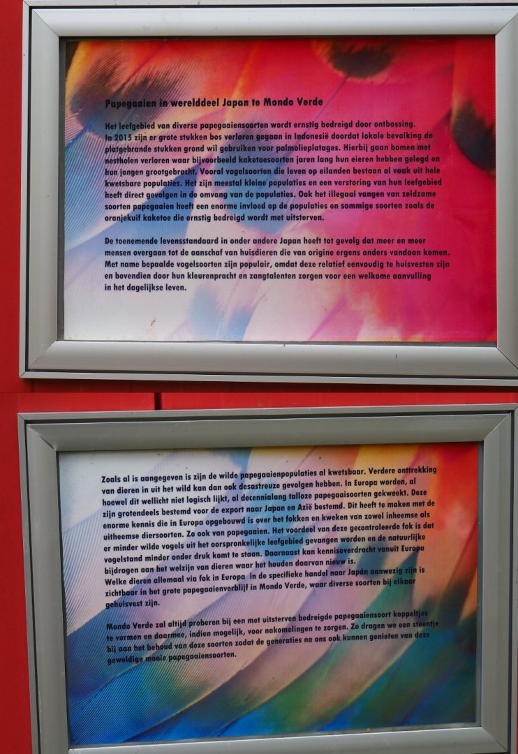 Parrot aviary signs (Aug 28th, 2018)