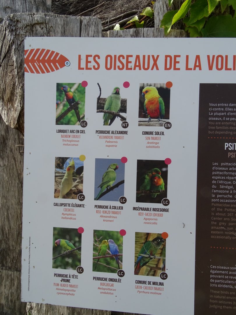 Parrot aviary species list