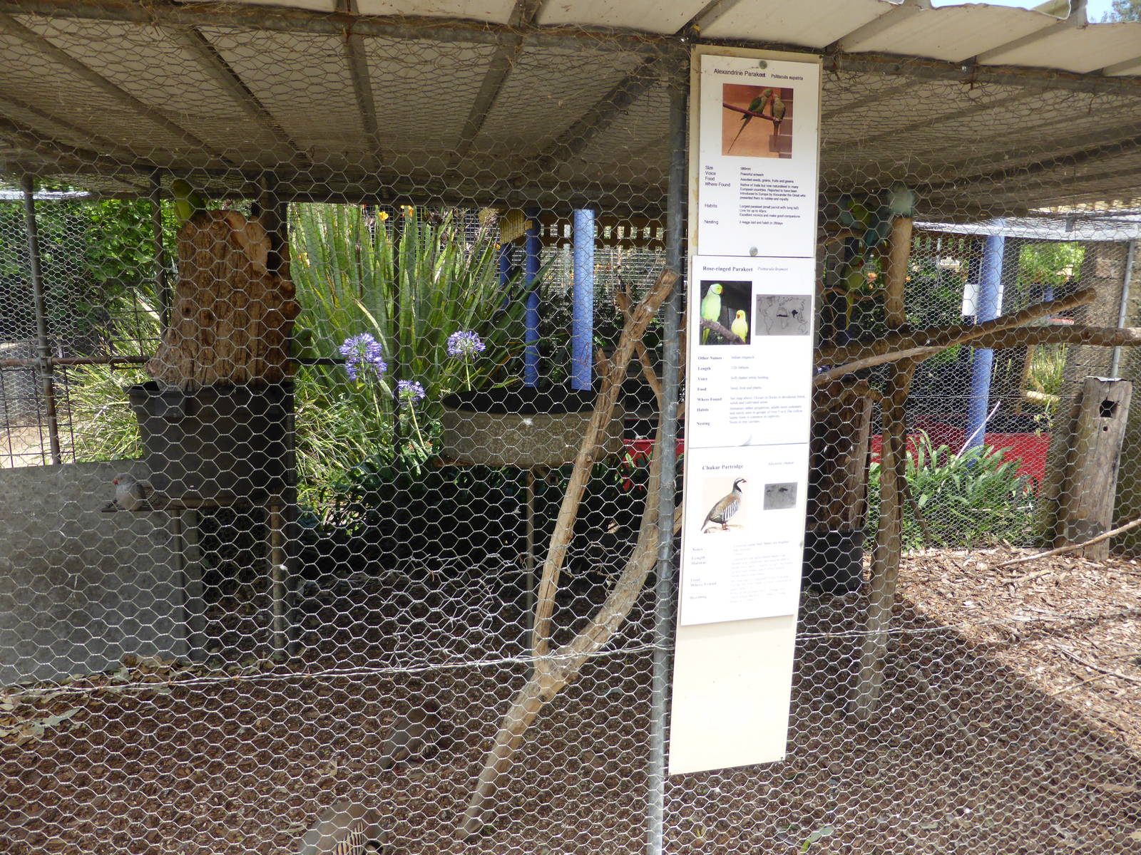 Parrot aviary