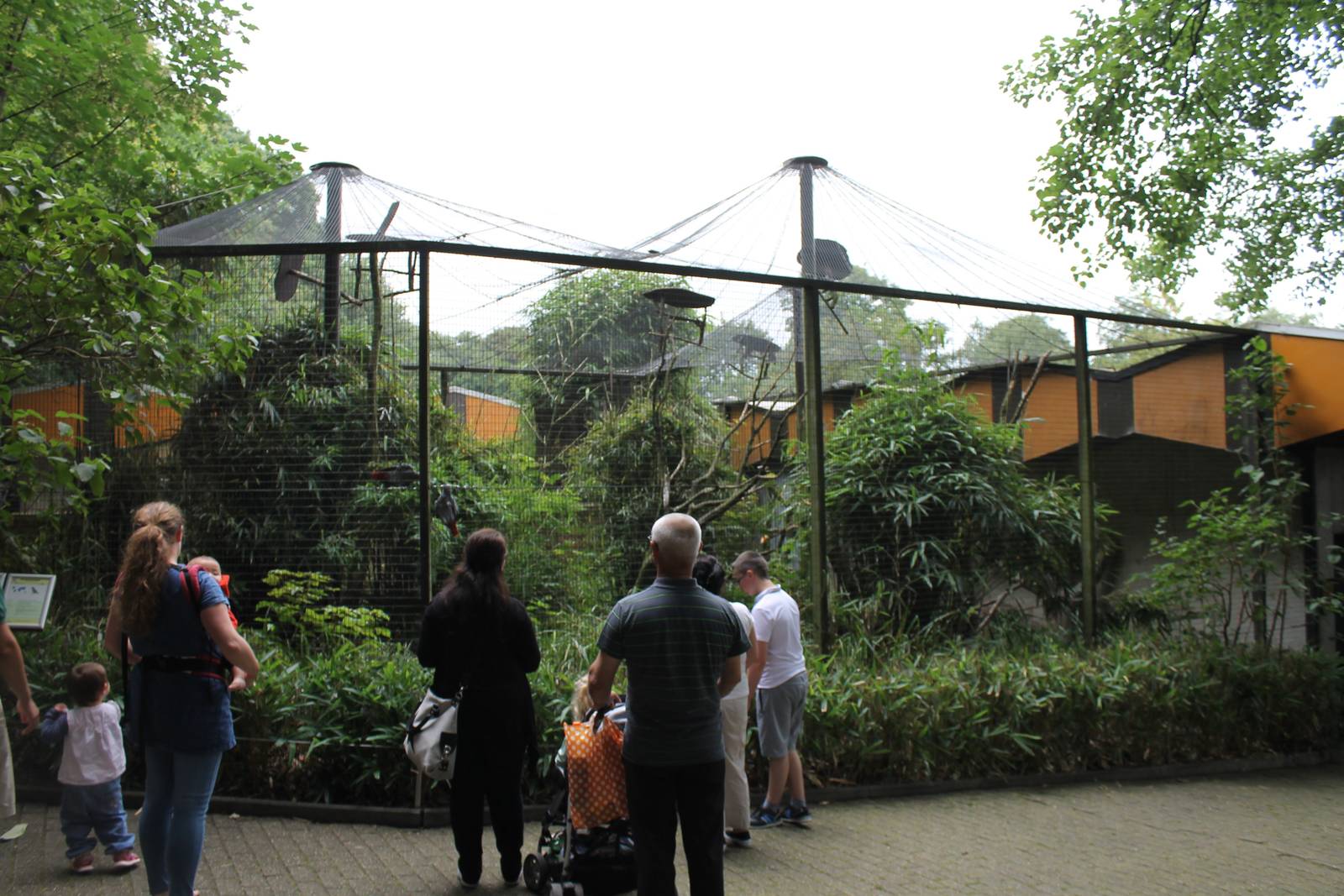 Parrot aviary