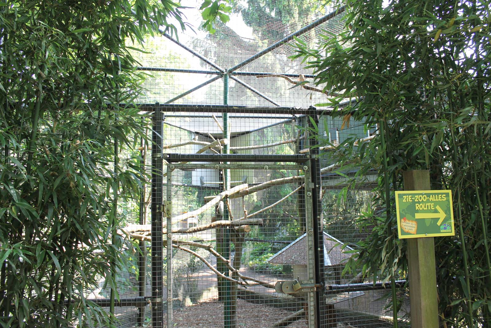 Parrot aviary
