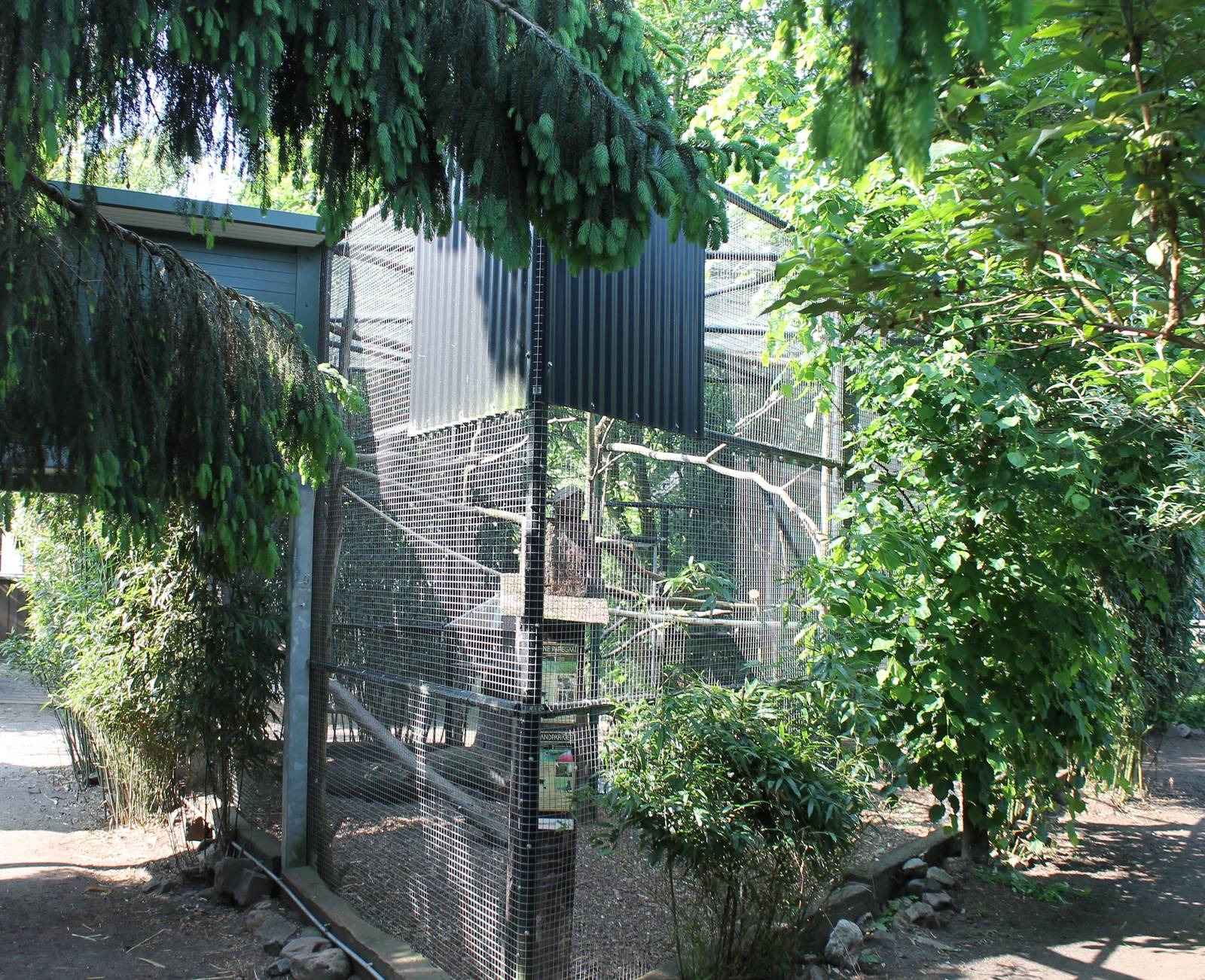 Parrot aviary