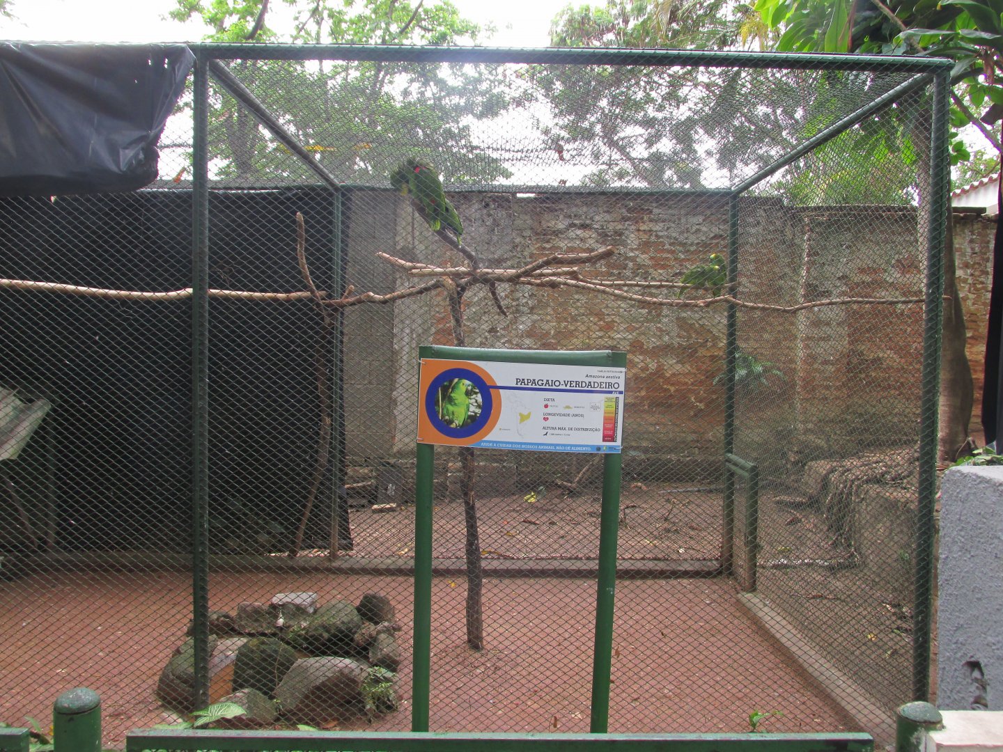 parrot aviary