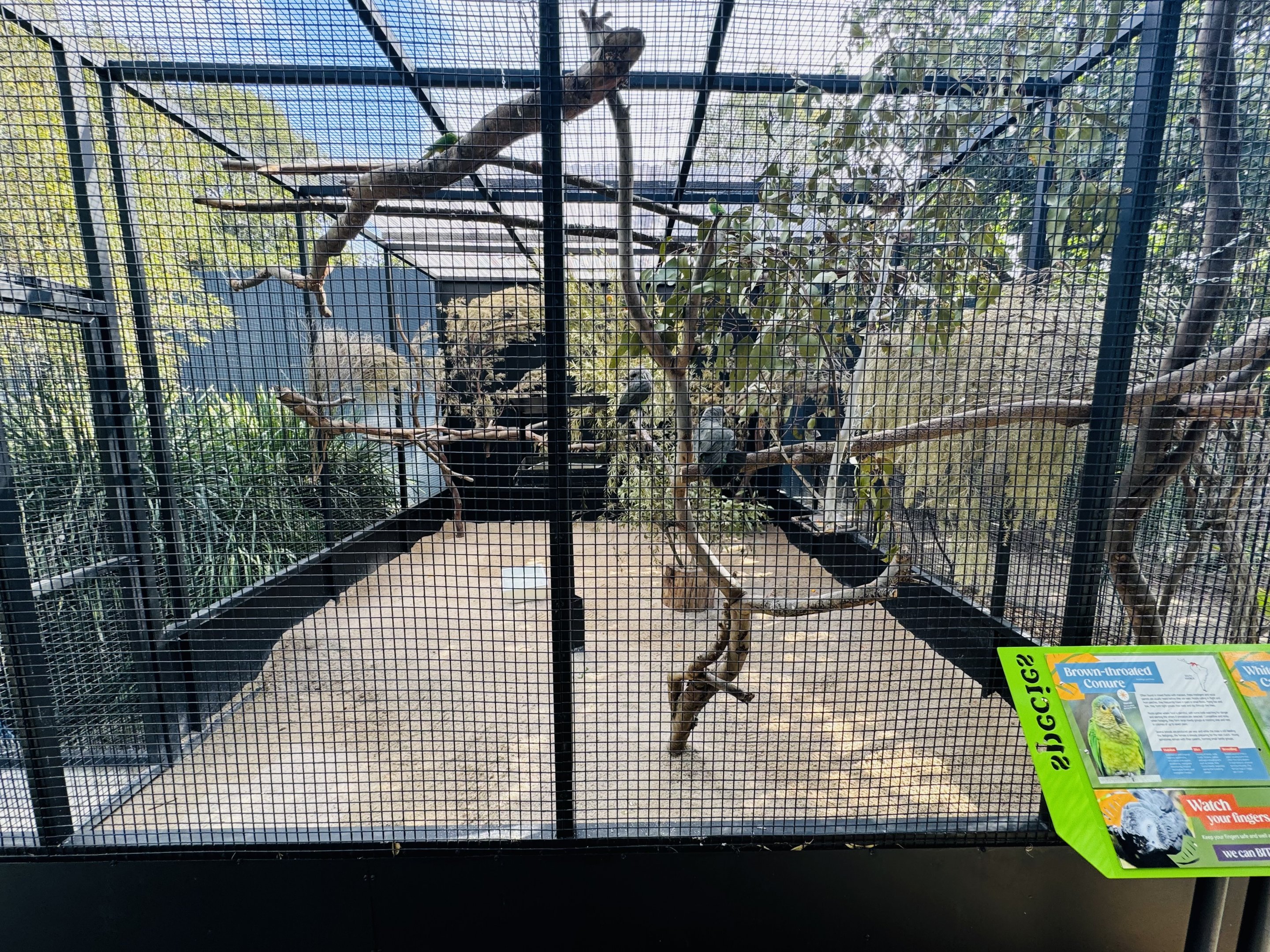 Parrot aviary