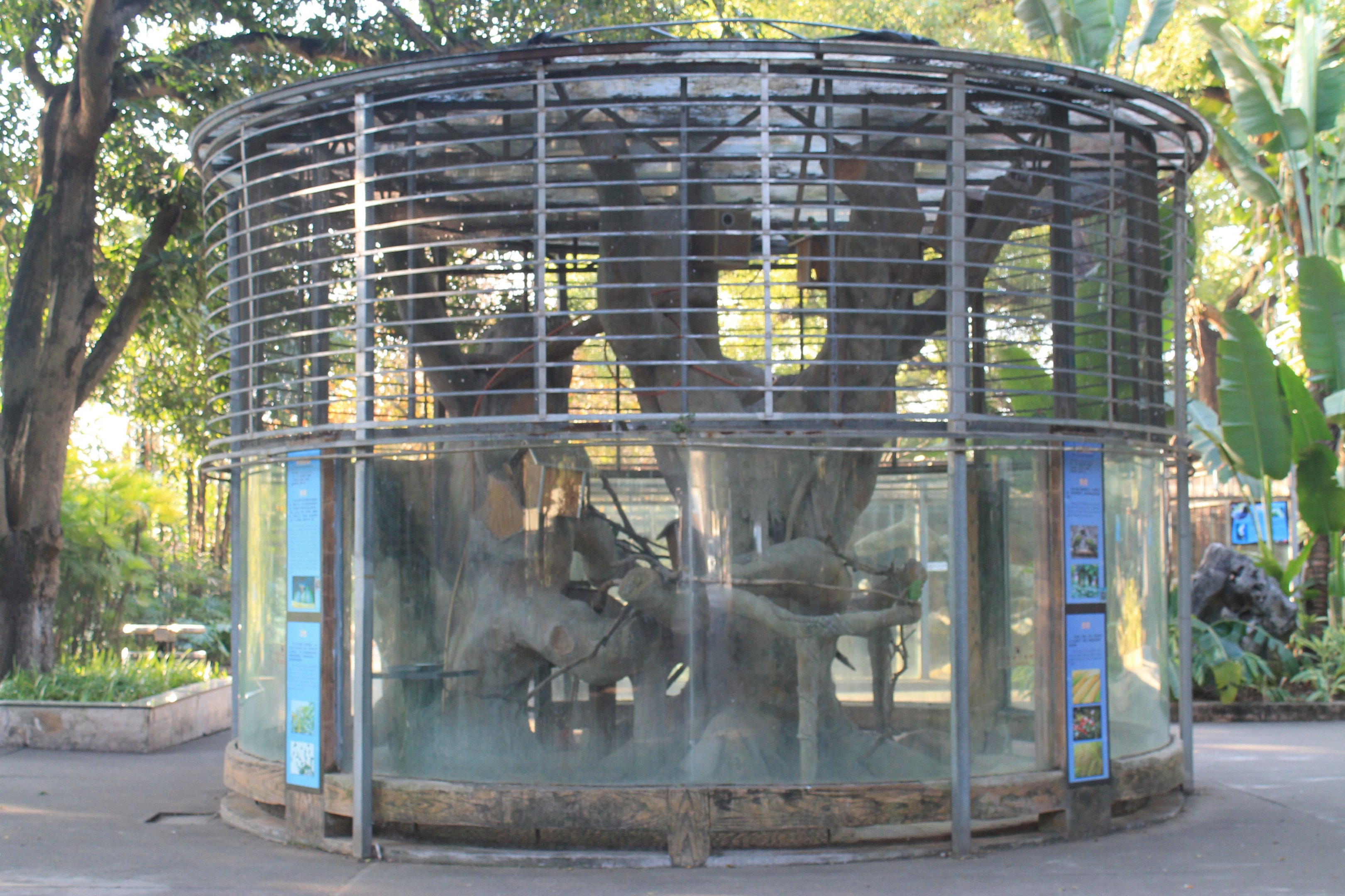 Parrot aviary