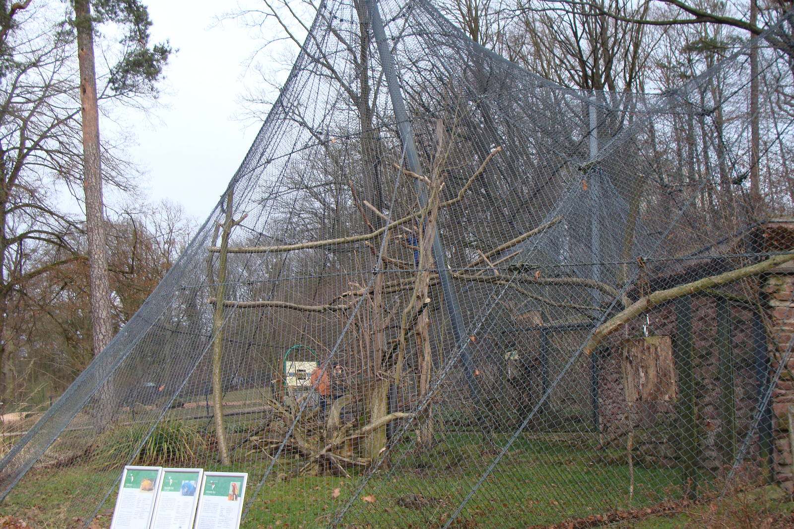 parrot aviary