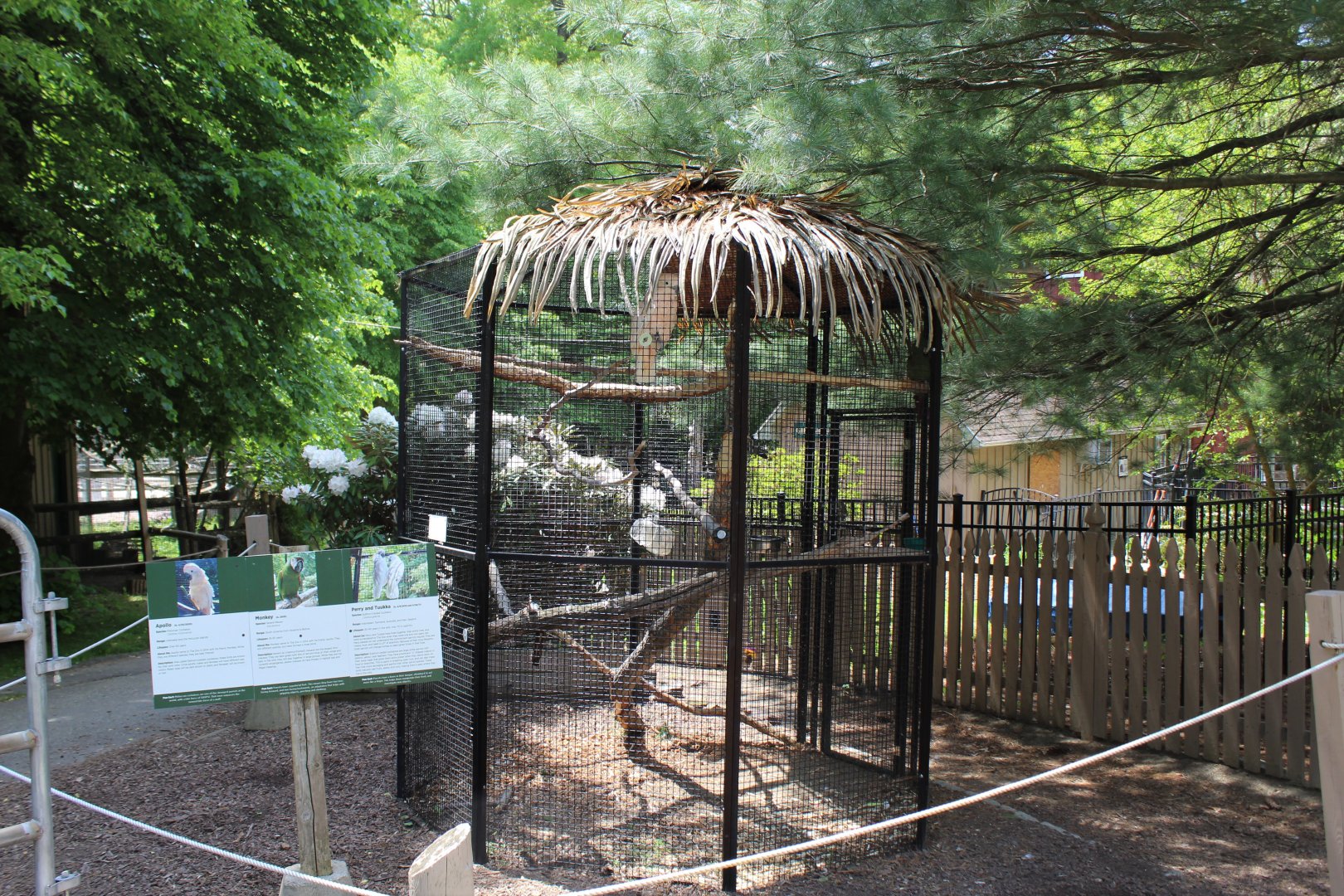 Parrot Cage