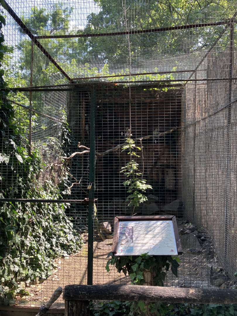 Parrot cage