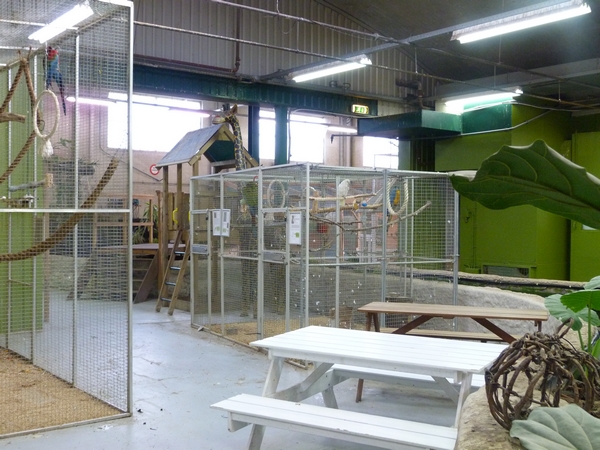 Parrot cages