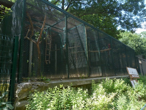 Parrot cages