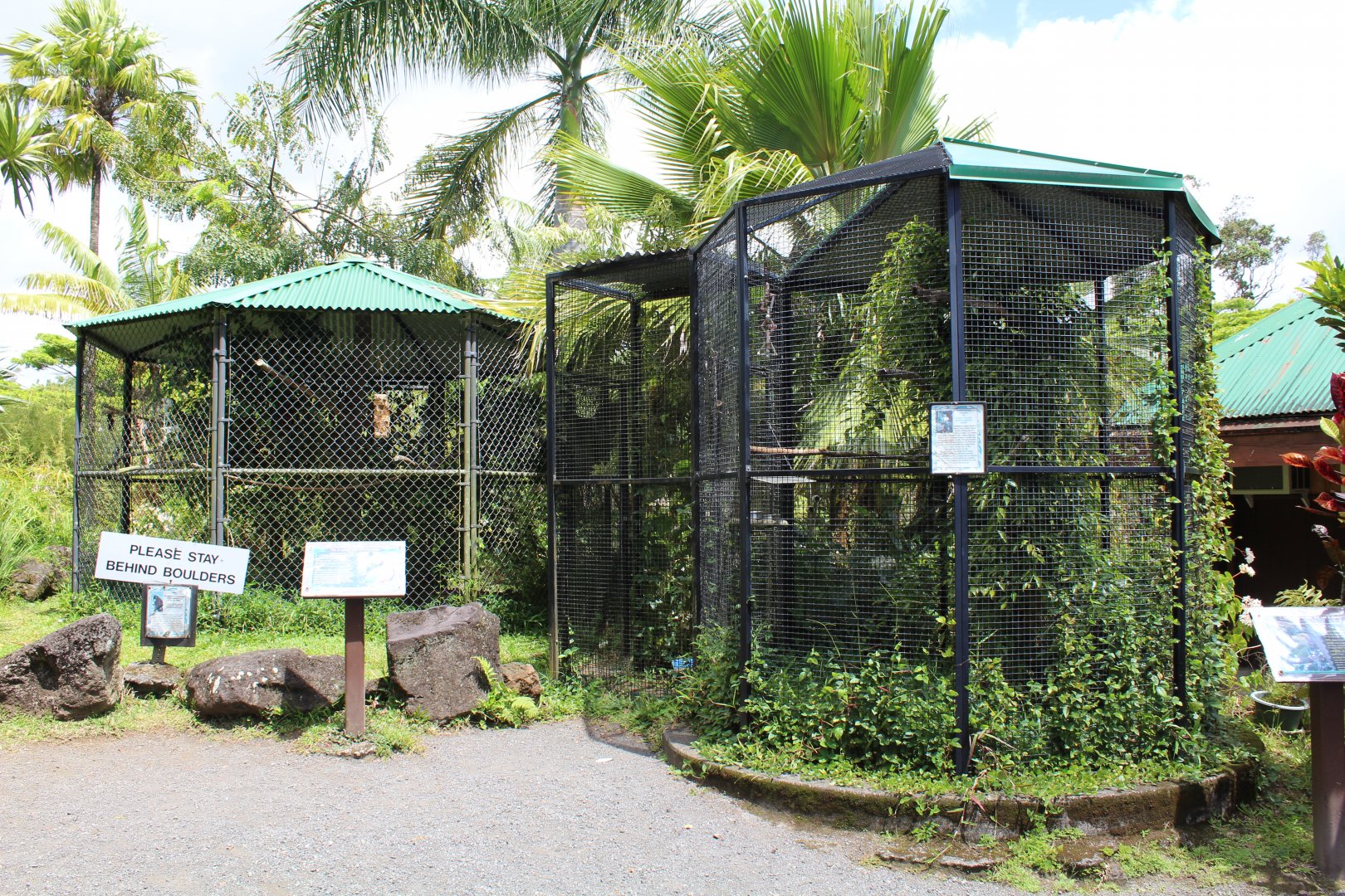 Parrot Cages