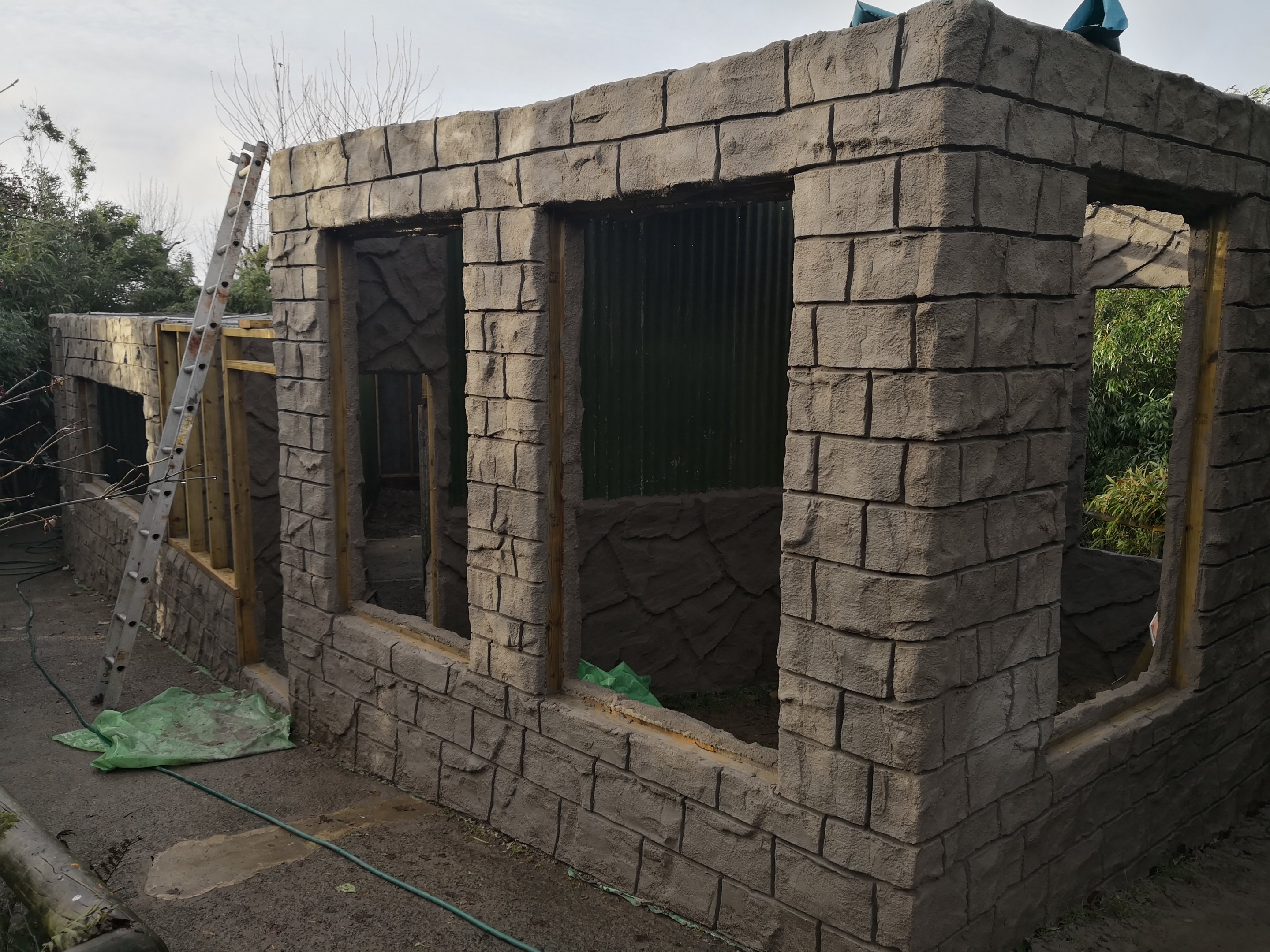 Parrot complex Construction