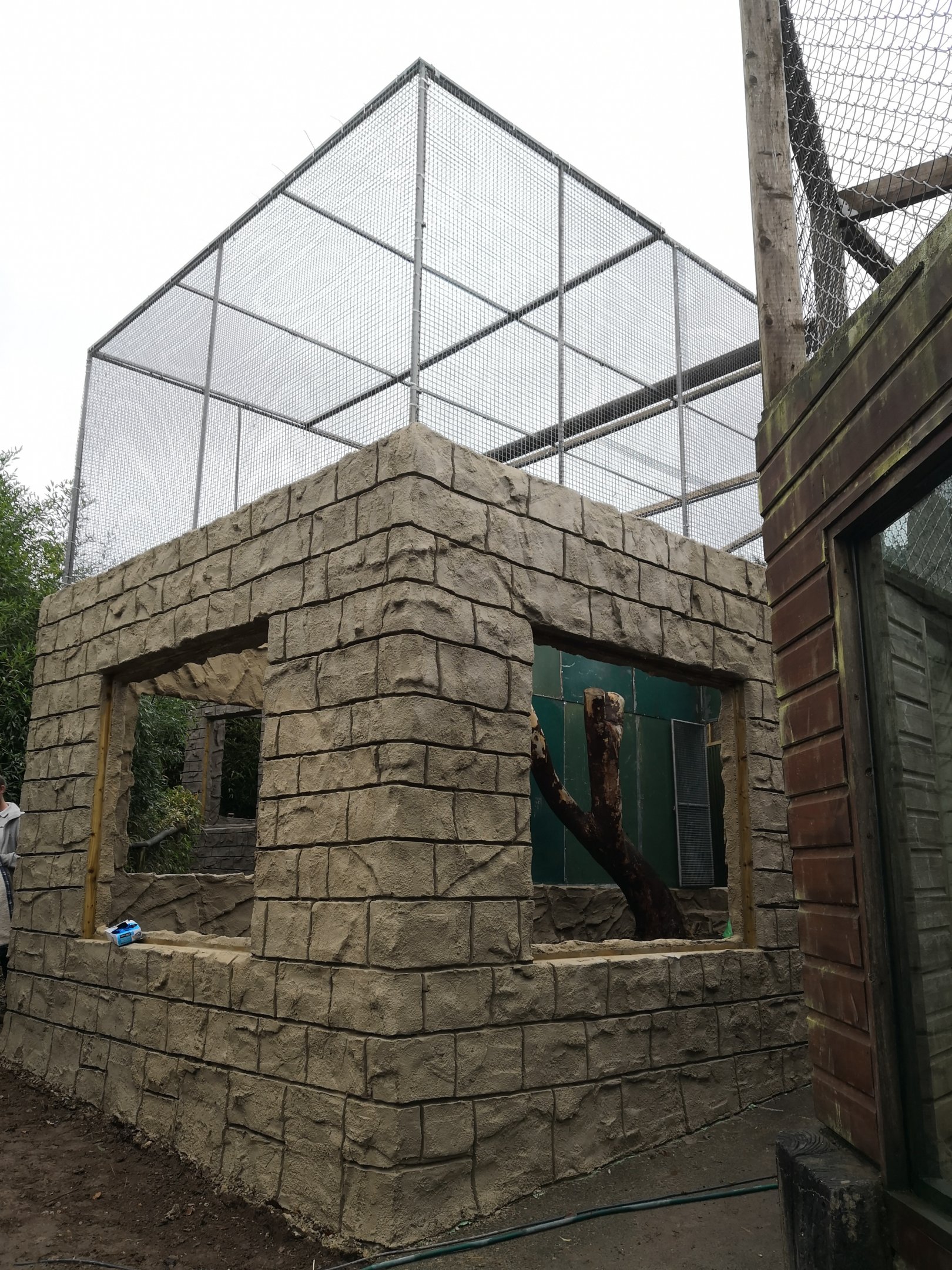 Parrot Complex Construction