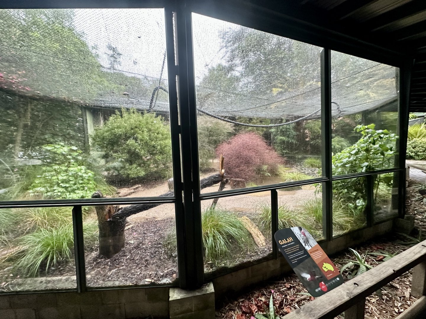 Parrot Court (Australian Aviary)