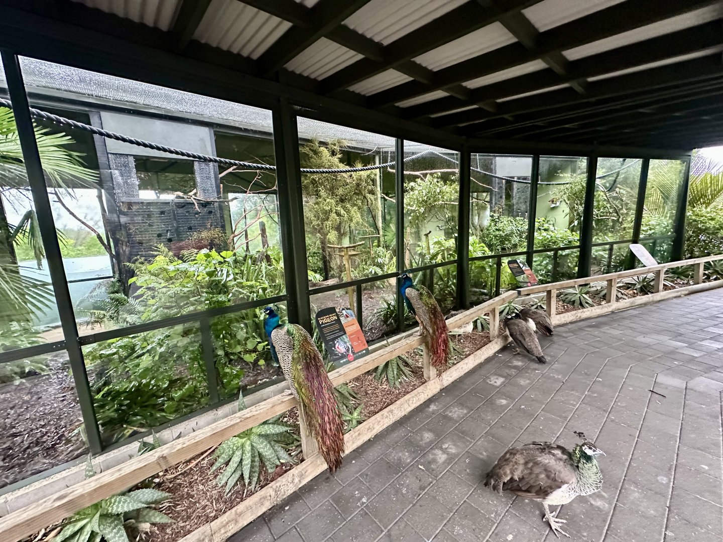 Parrot Court (Parakeet Aviary)