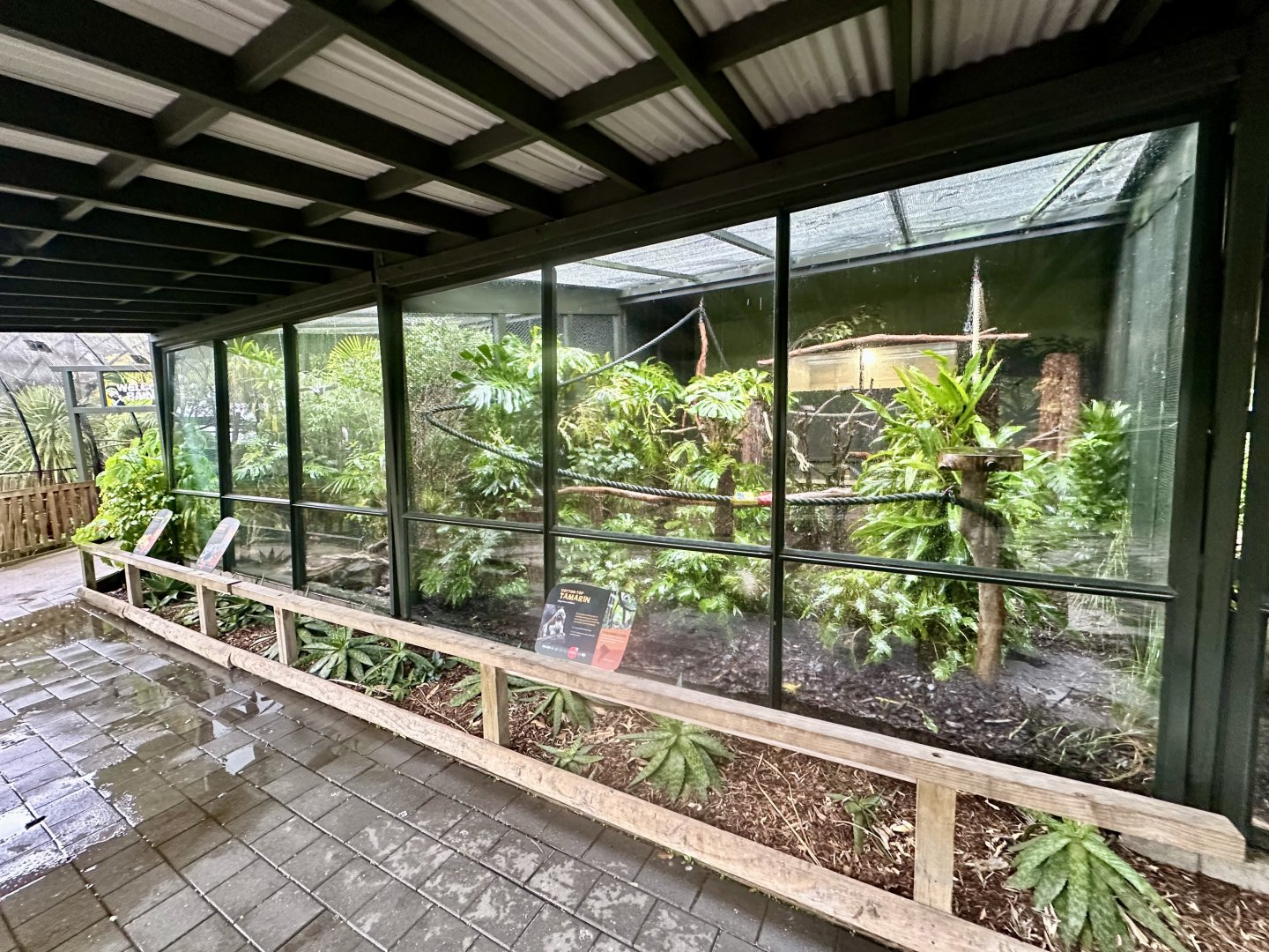 Parrot Court (Tamarin and Himalayan Monal Exhibits)