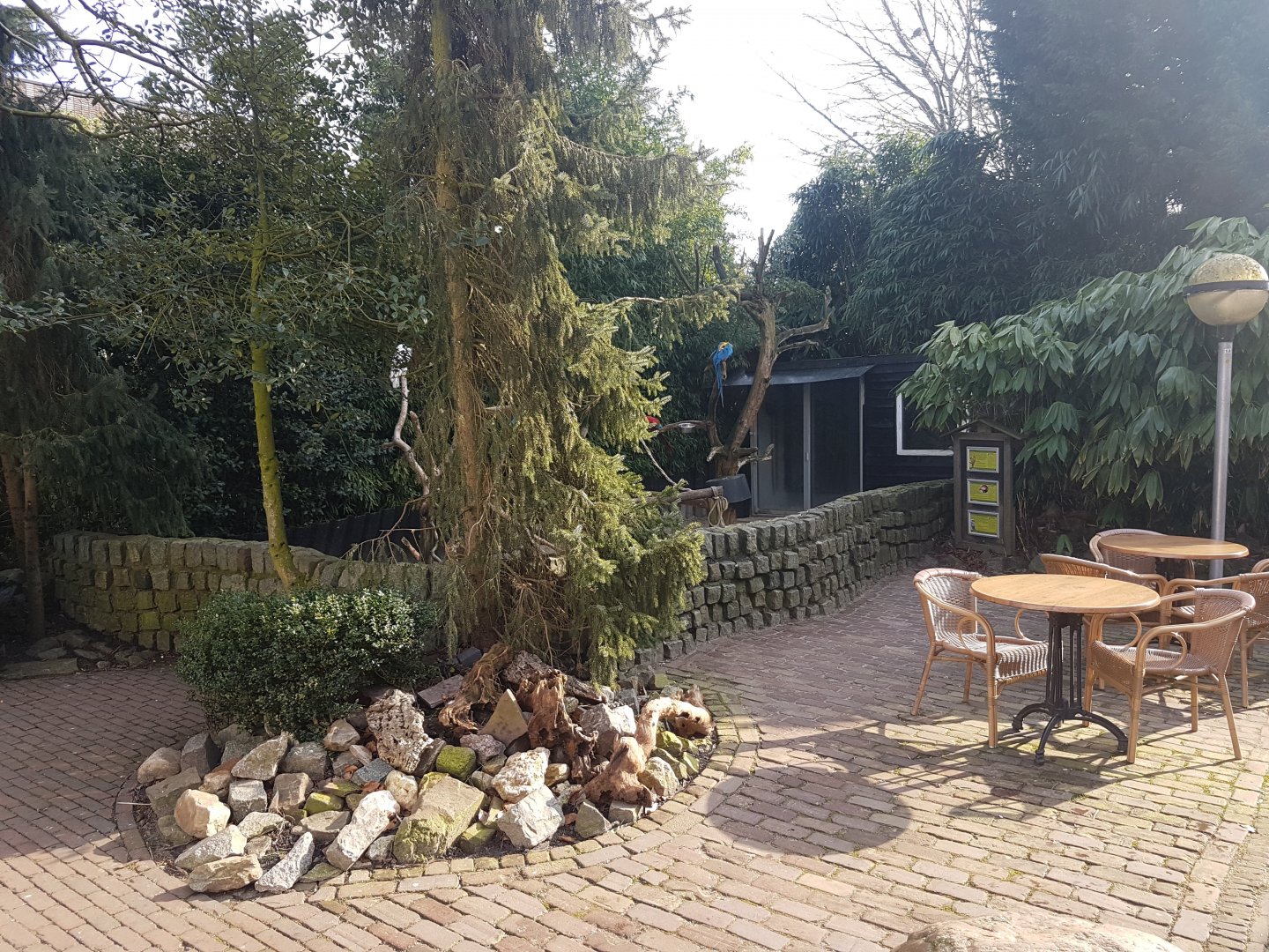 Parrot-enclosure and Terras