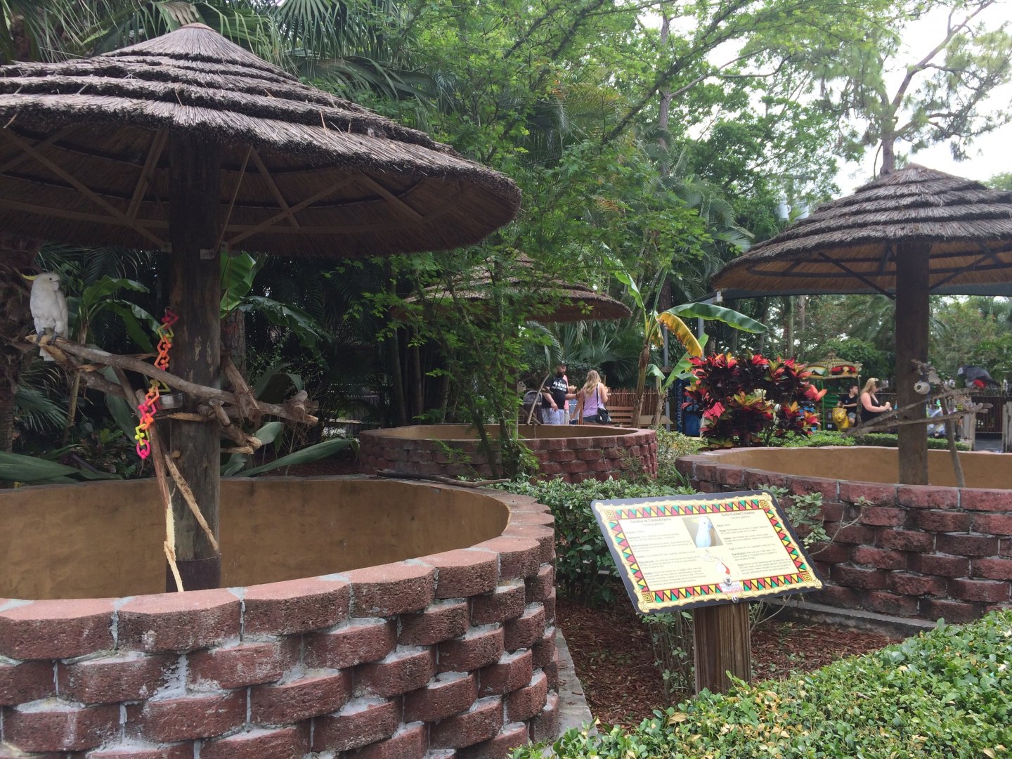 Parrot enclosures (2016)