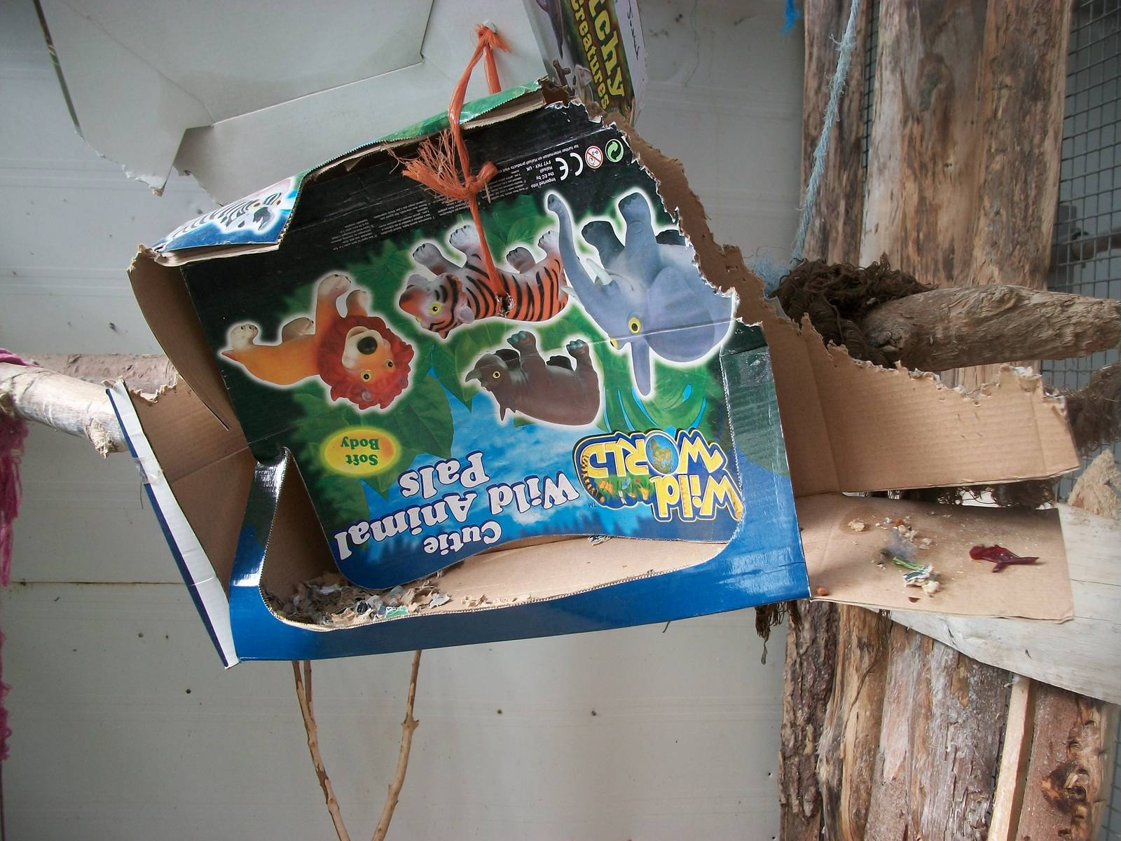 Parrot enrichment, 23rd September 2014