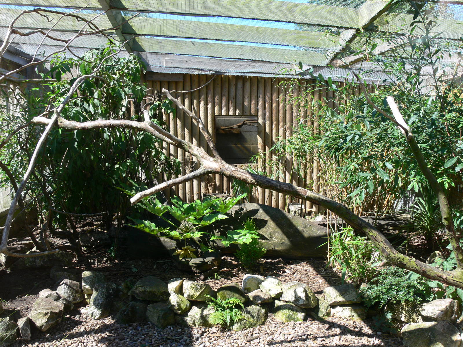 Parrot Exhibit at Blackpool Zoo, 29/06/14