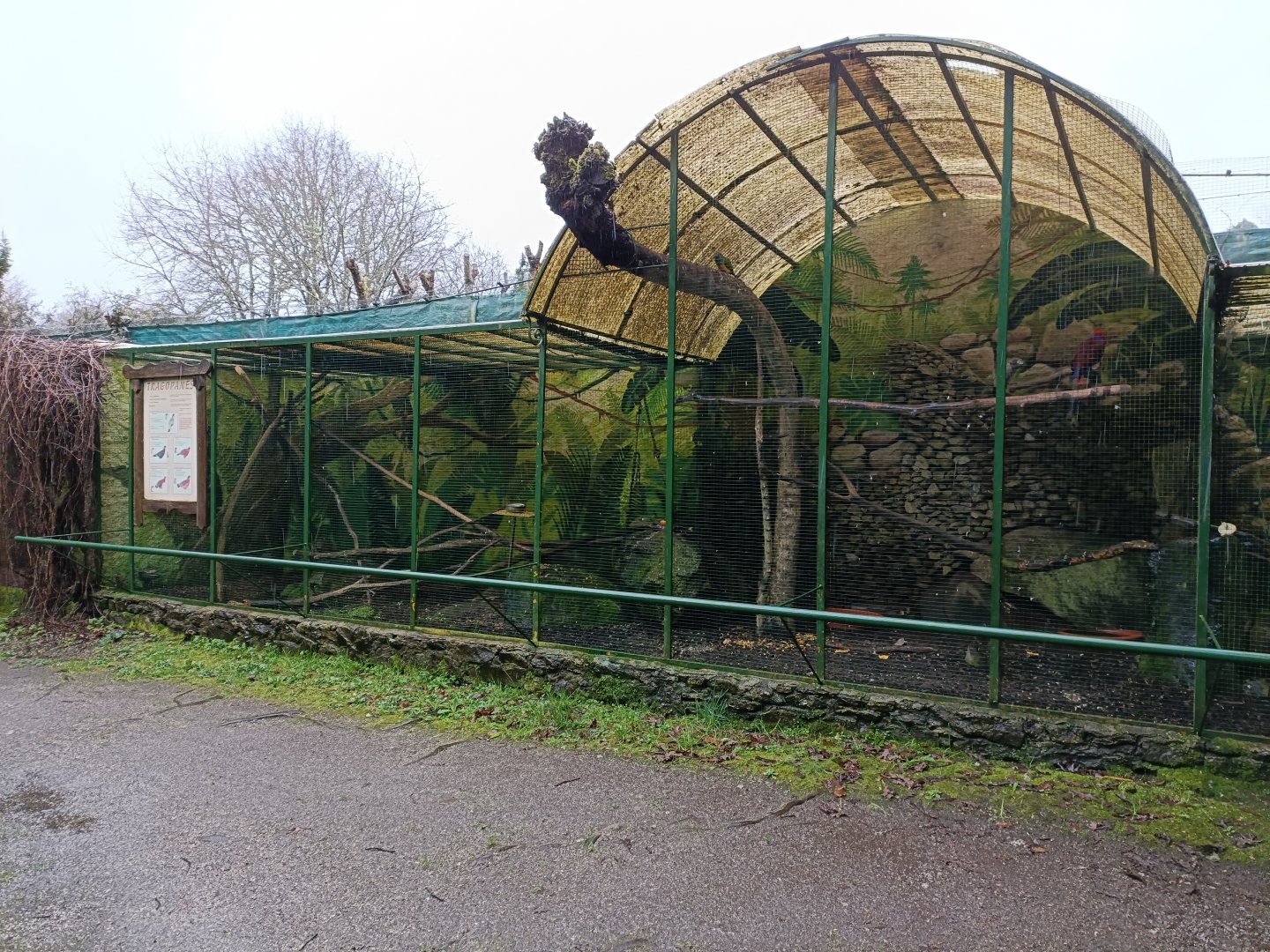 Parrot exhibit - Avifauna Lugo