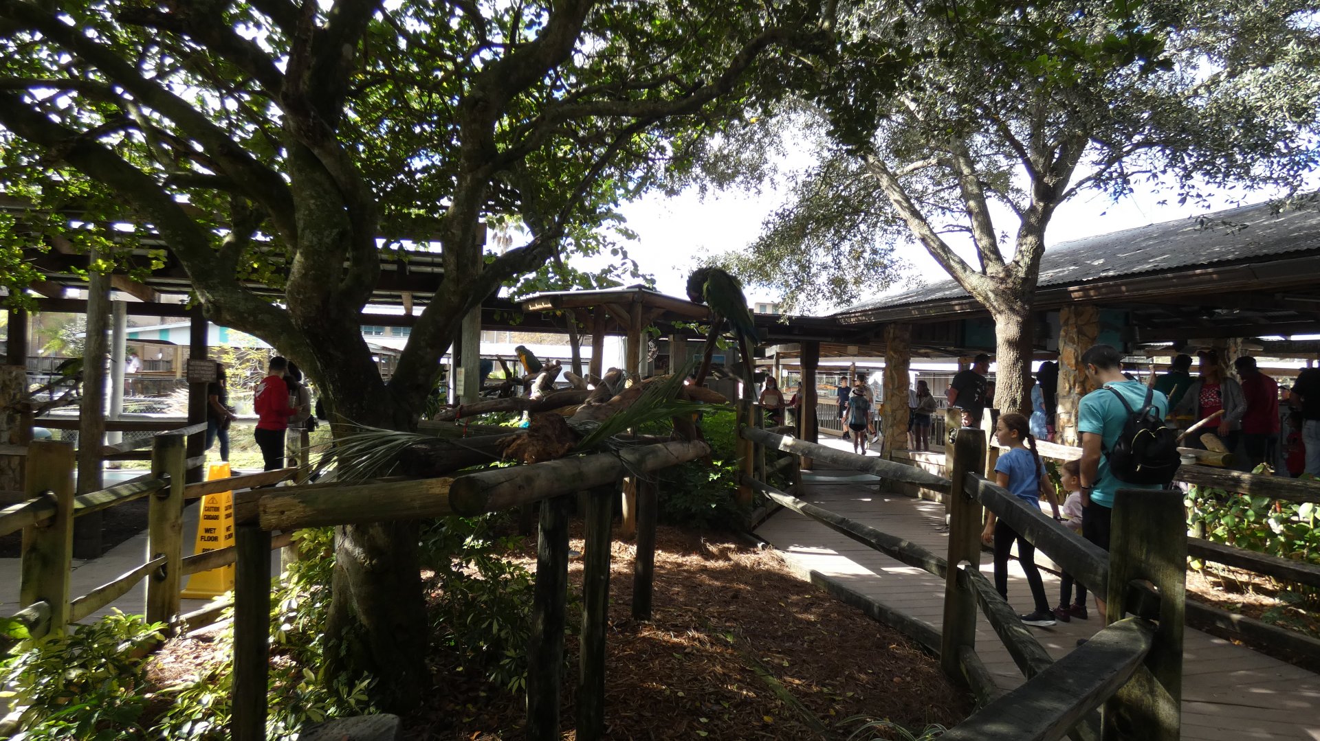 Parrot Exhibit - Jan. 2022