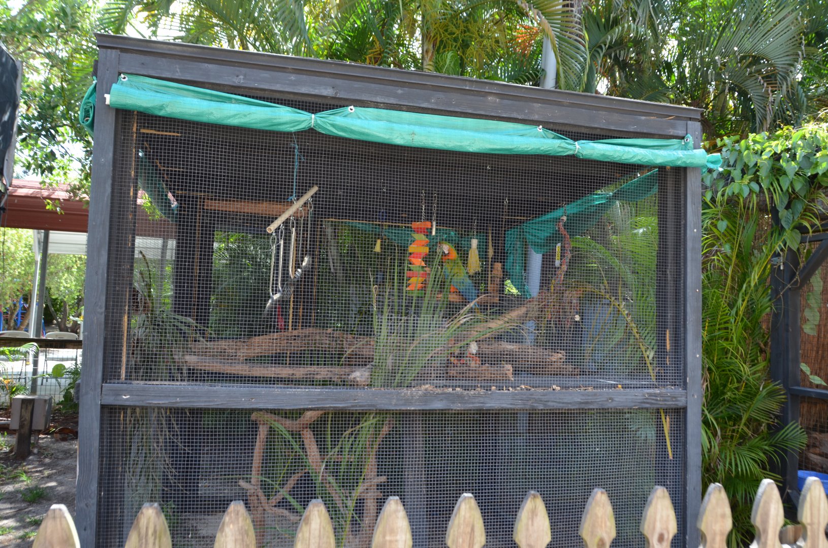 Parrot Exhibit (Macaw)