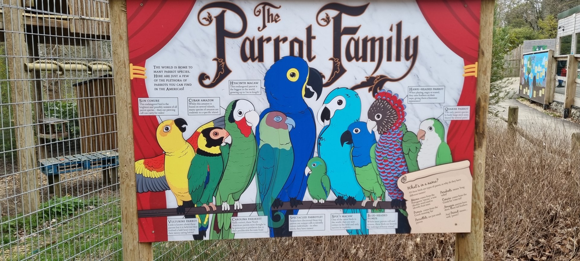 Parrot family display sign