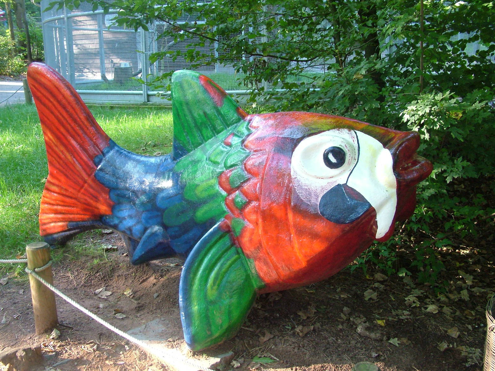 Parrot Fish at Kaiserslautern, 01/09/10