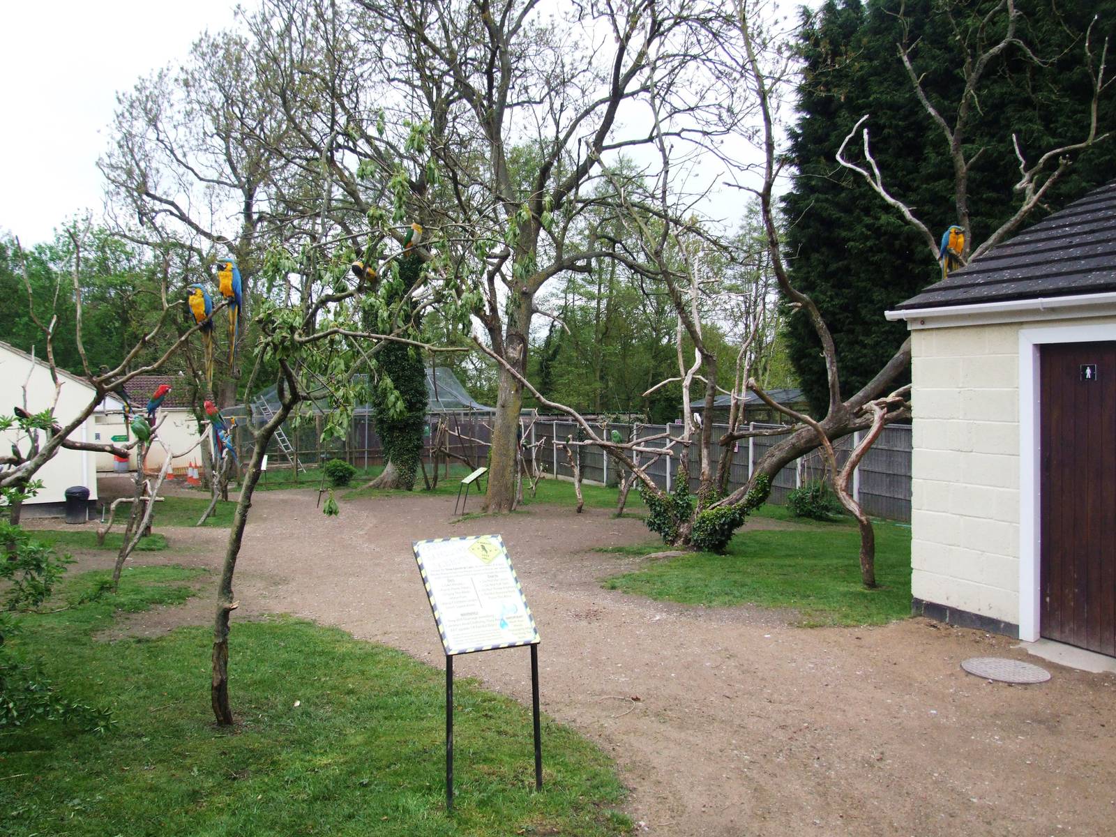Parrot Garden at Tropical Birdland, 18/05/13