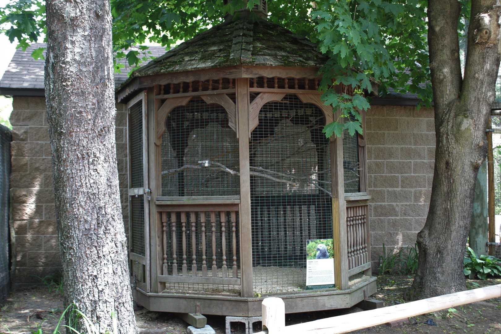 Parrot Gazebo