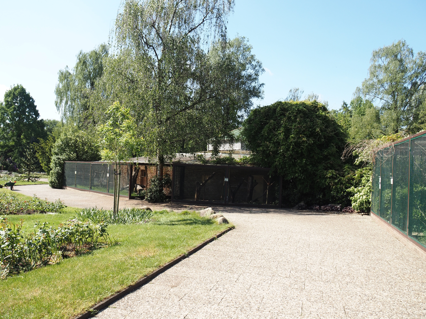 Parrot house, 2024-05-23