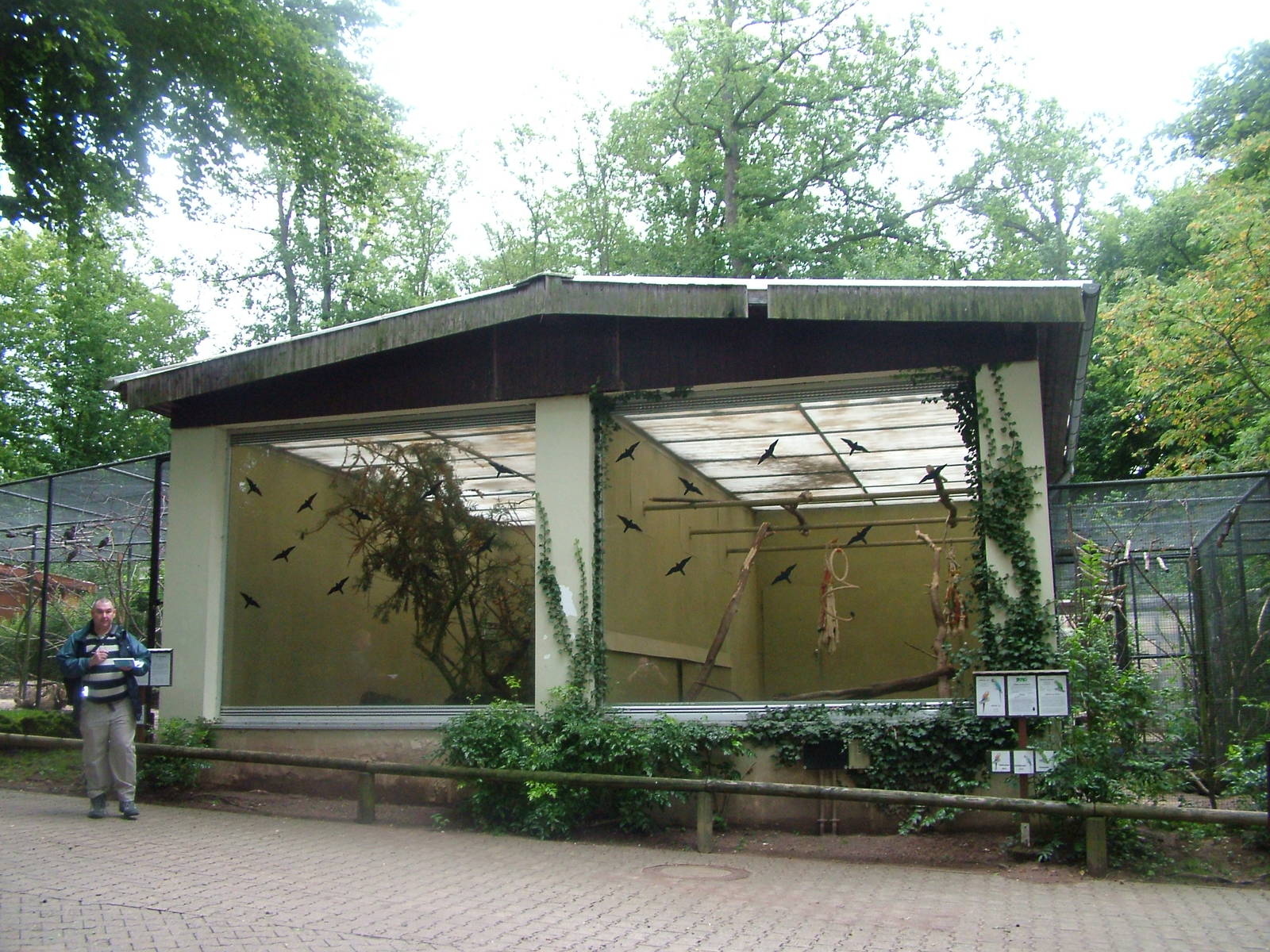 Parrot House at Darmstadt, 30/08/10