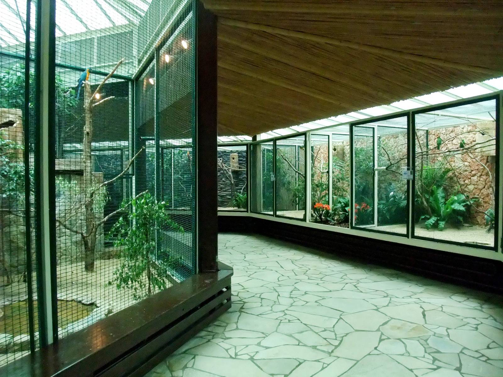 Parrot House at Walsrode, 22/03/13