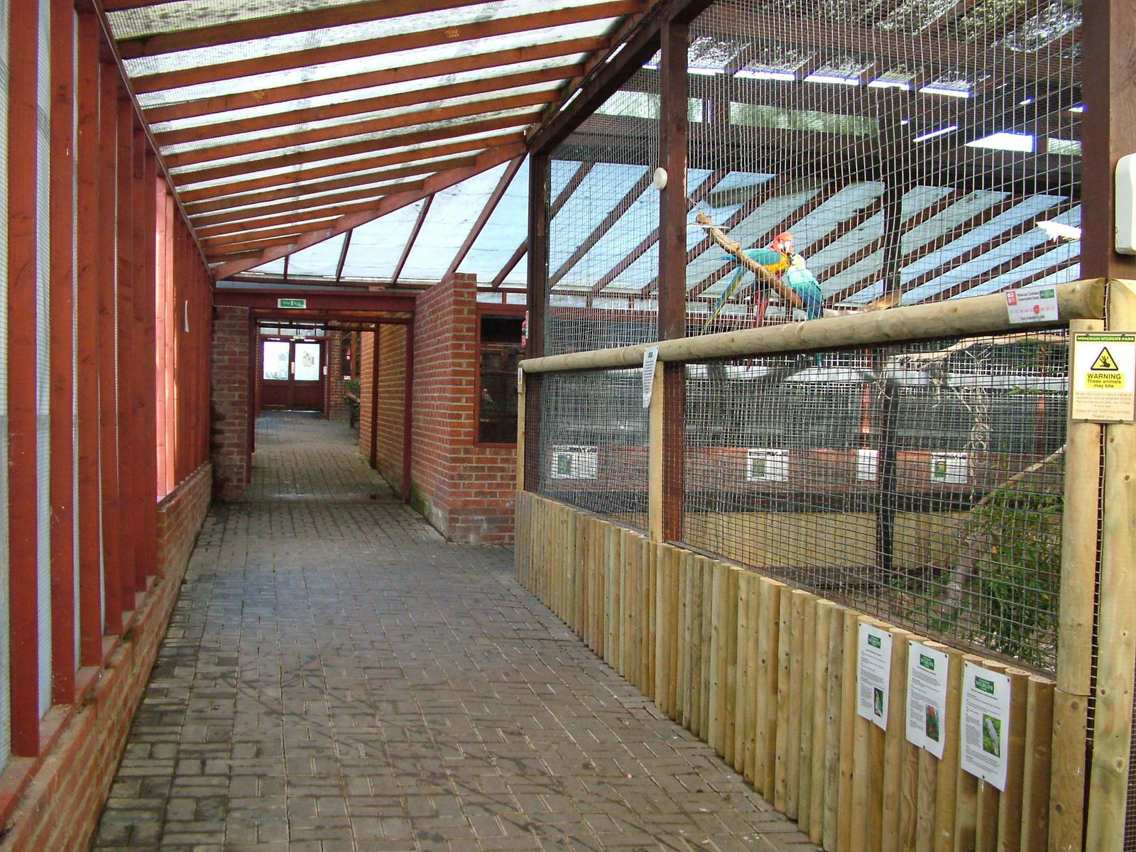 Parrot House at Wingham 28/11/09