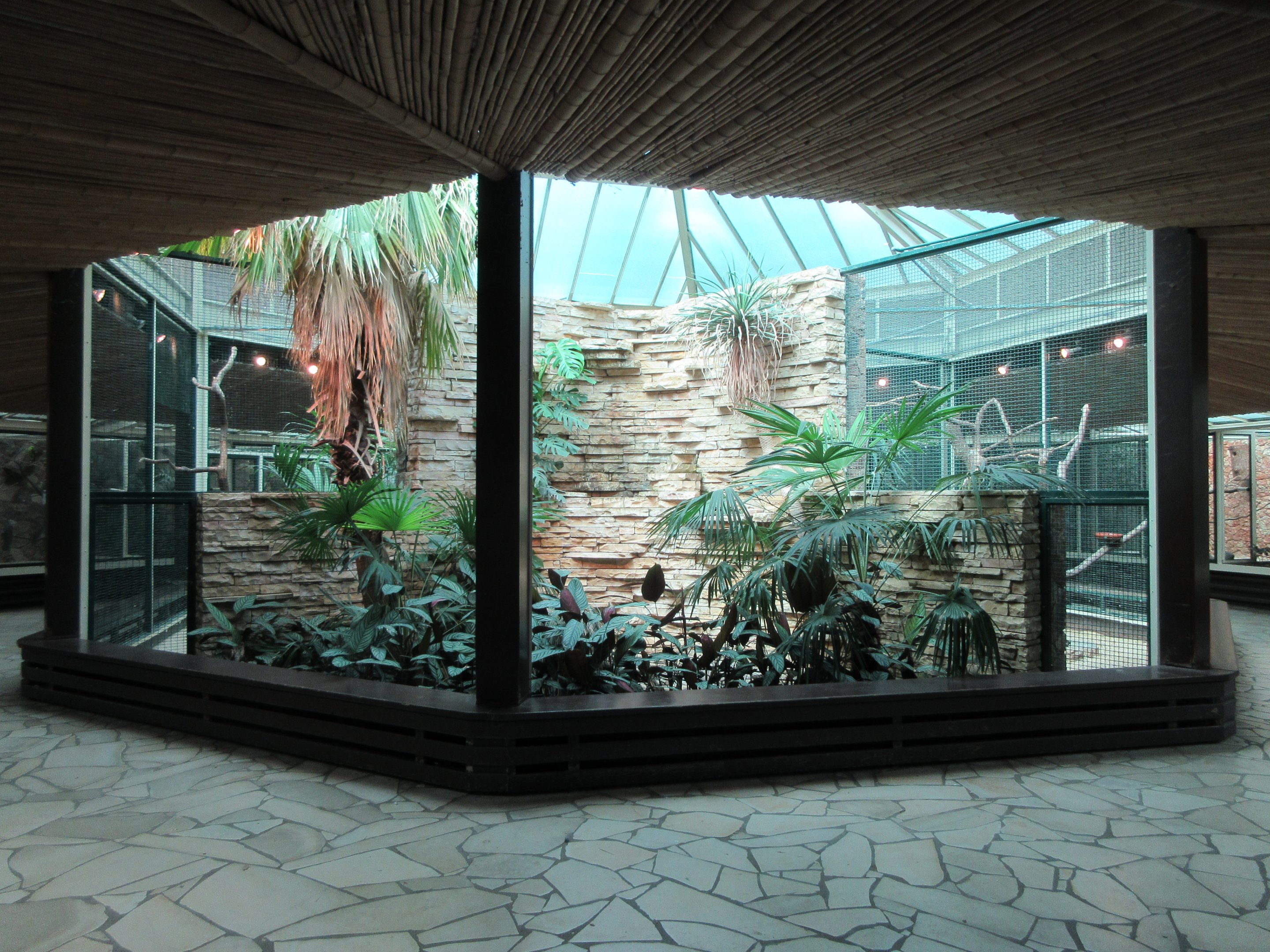 Parrot House - beautiful rock-work