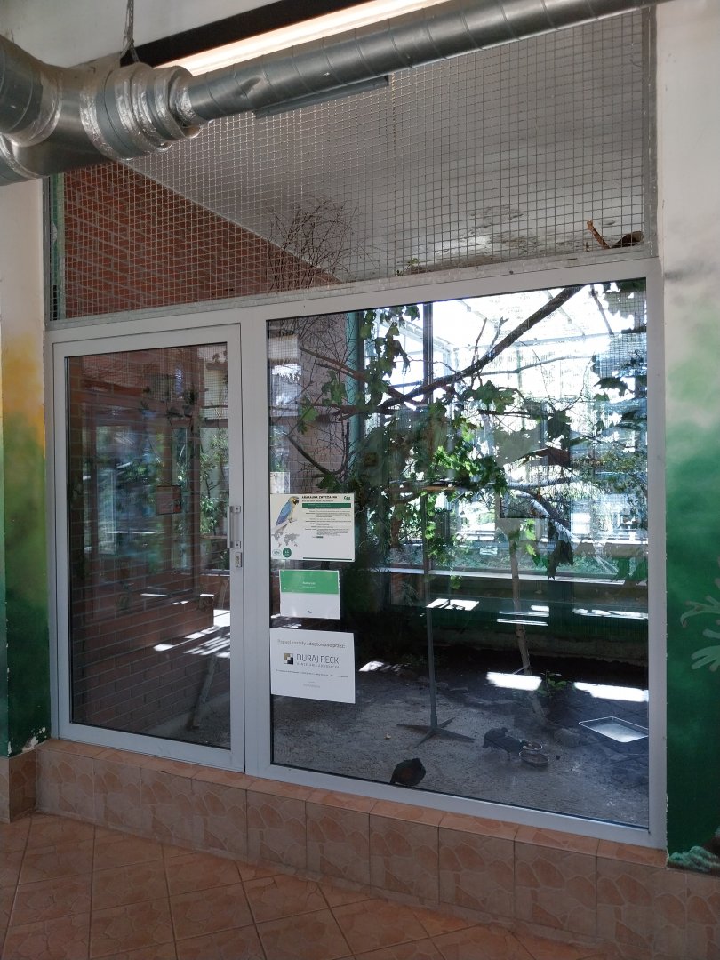 Parrot House - Blue-and-yellow Macaw (Ara araruna) and Crested Partridge (Rollulus rouloul)