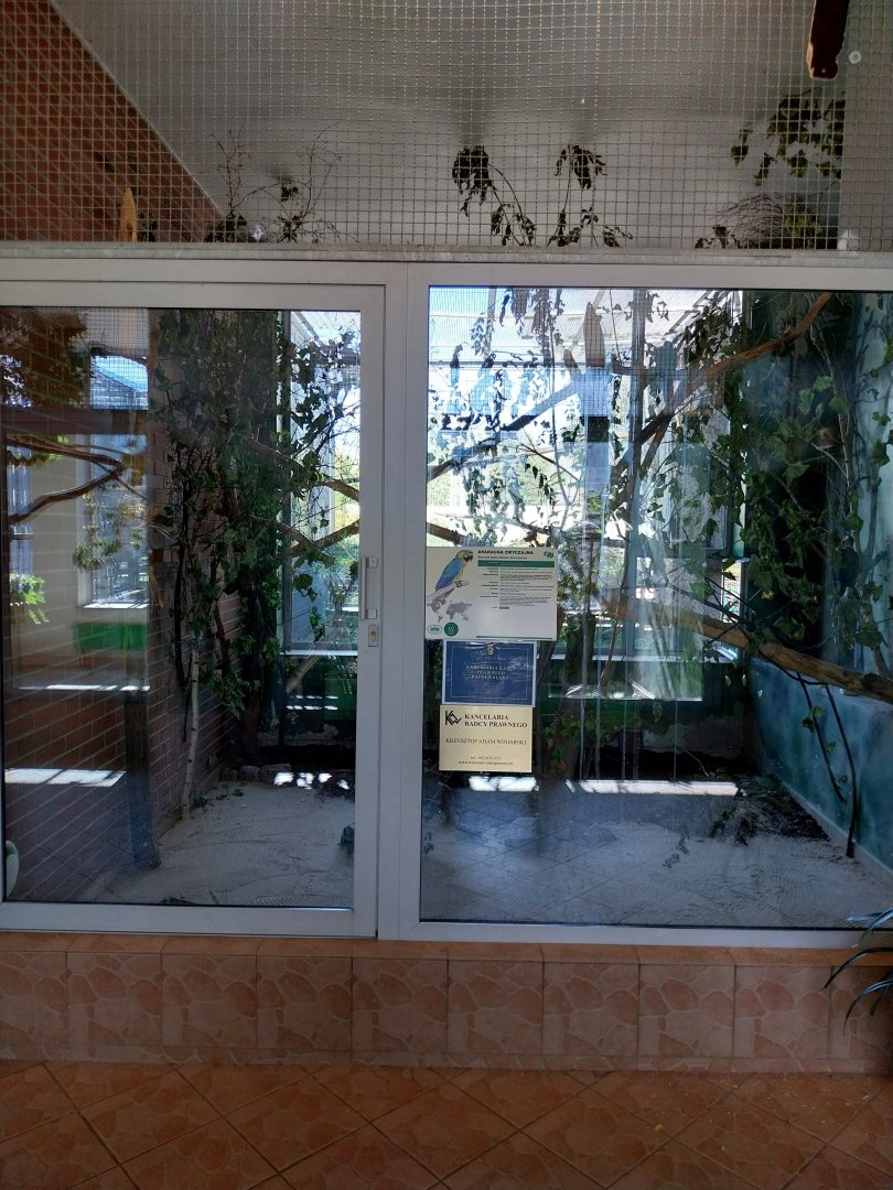 Parrot House - Blue-and-yellow Macaw (Ara araruna)