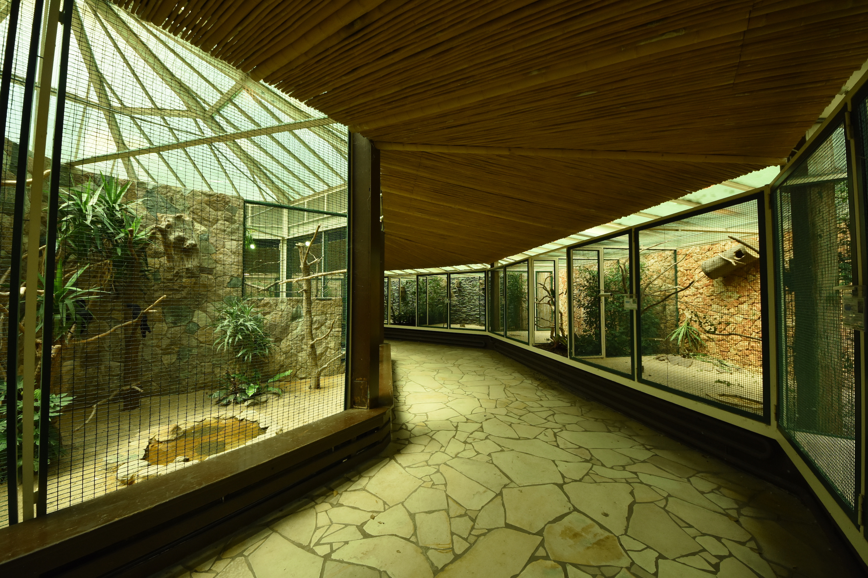 Parrot house - inside