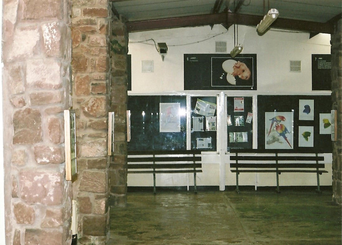 Parrot House memories, 24th October 2004