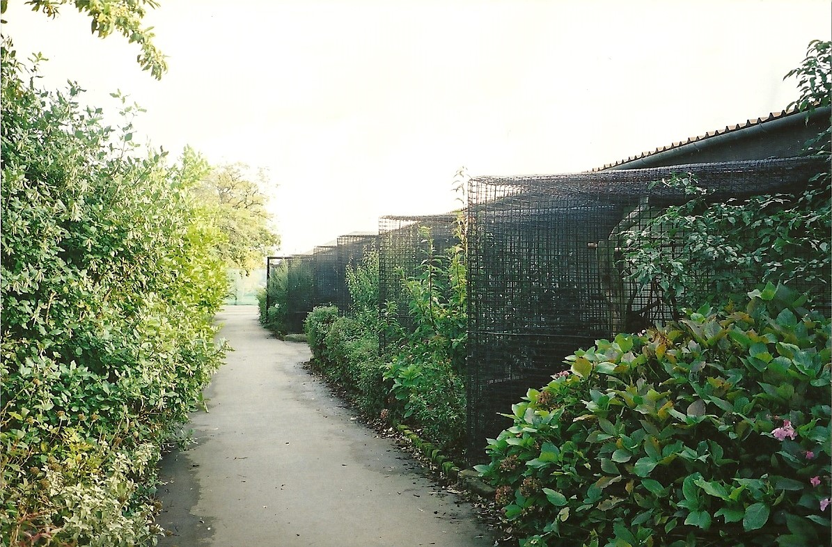 Parrot House memories, 25th October 2004