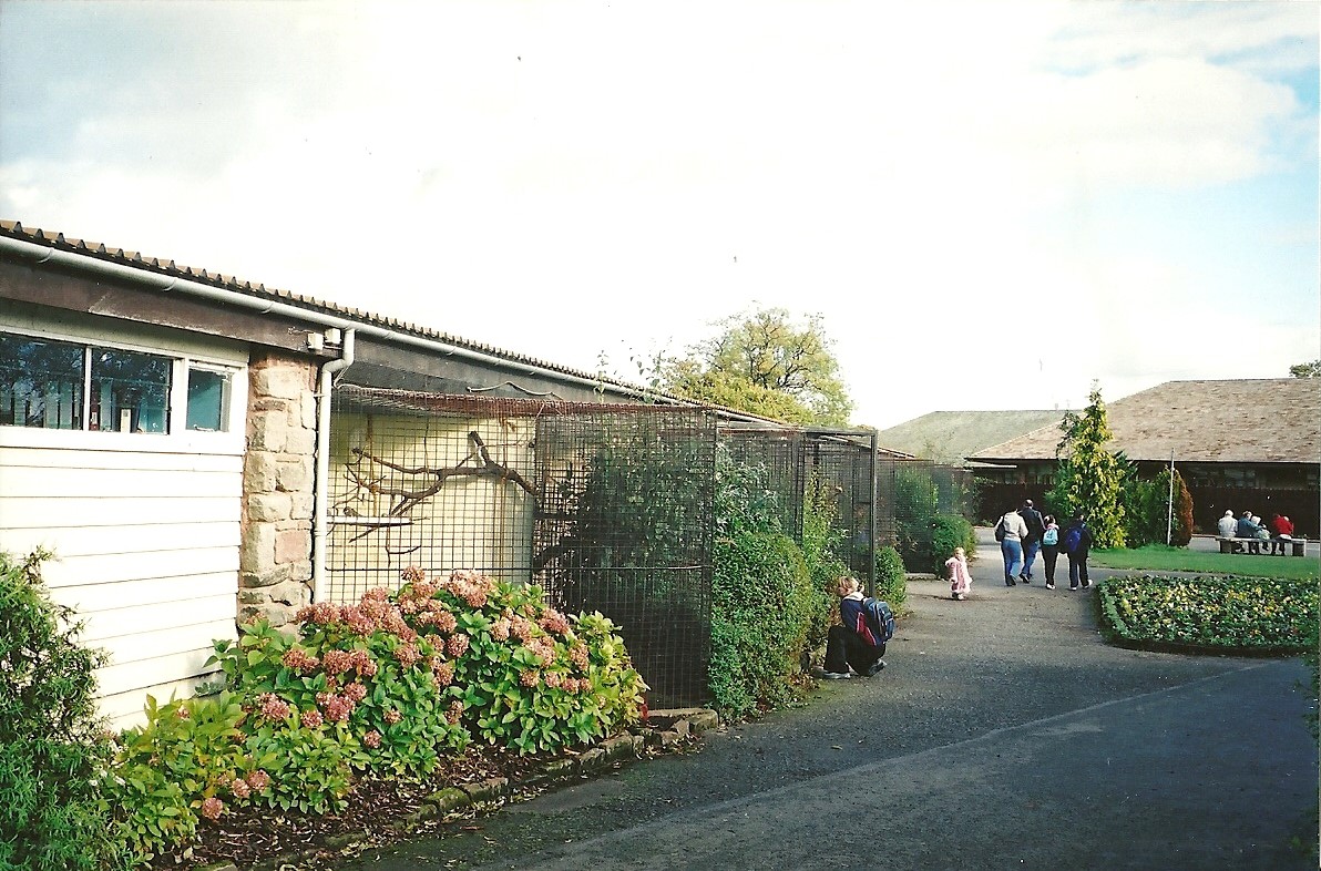 Parrot House memories, 25th October 2004