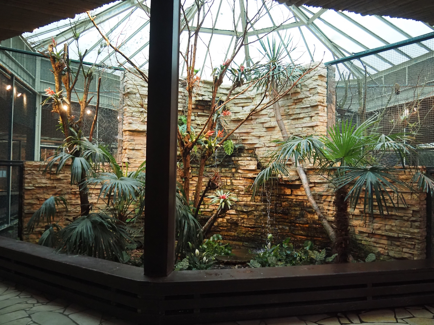 Parrot house - Palm and Bromeliad garden with waterfalls, 2024-05-22