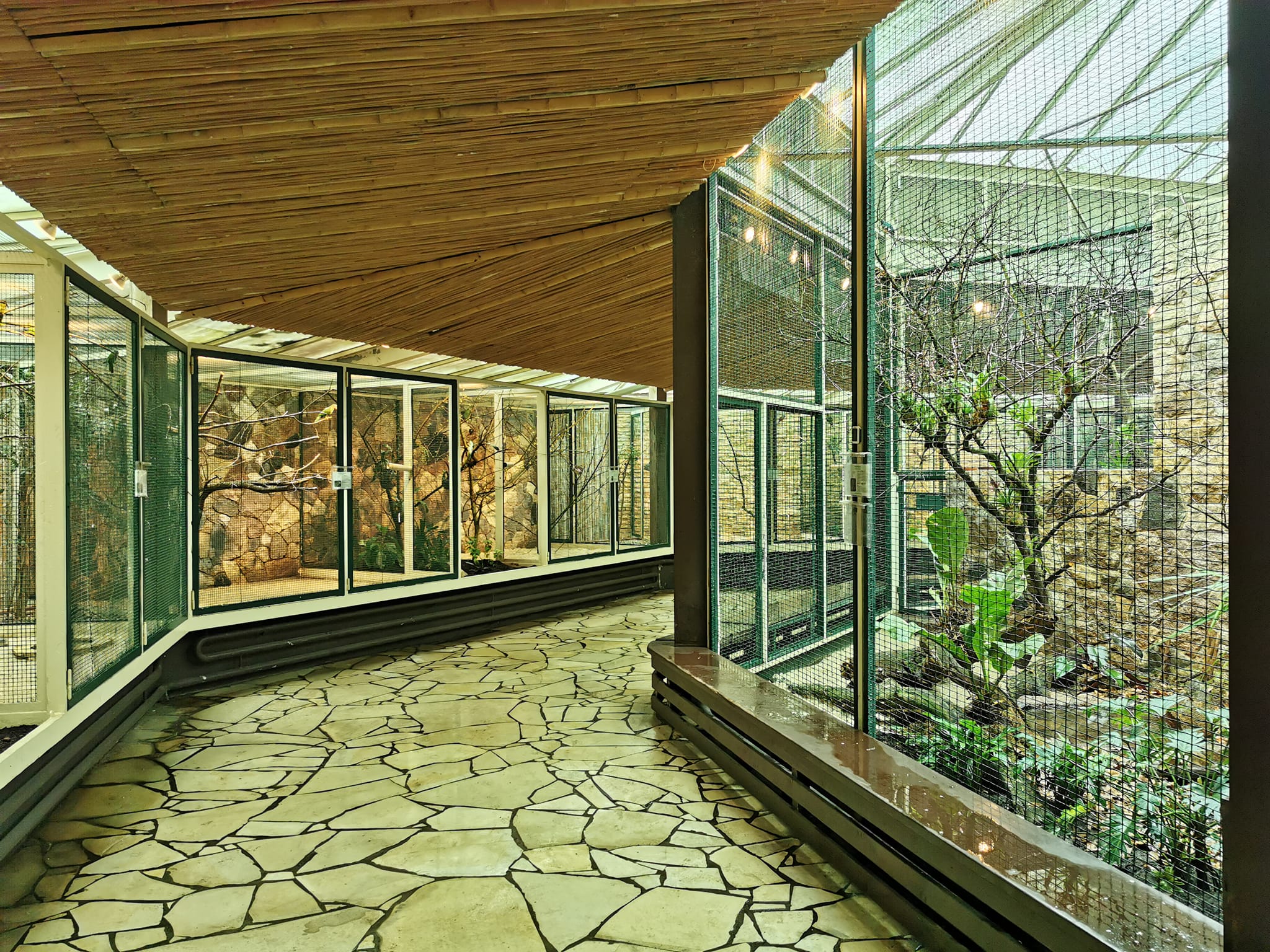 Parrot house/Papagaienhaus