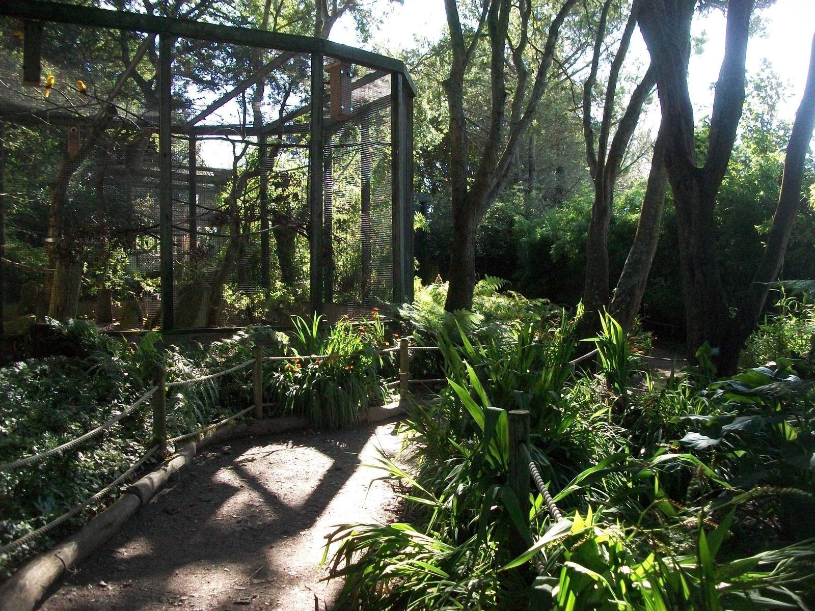 Parrot Jungle 13th September 2012