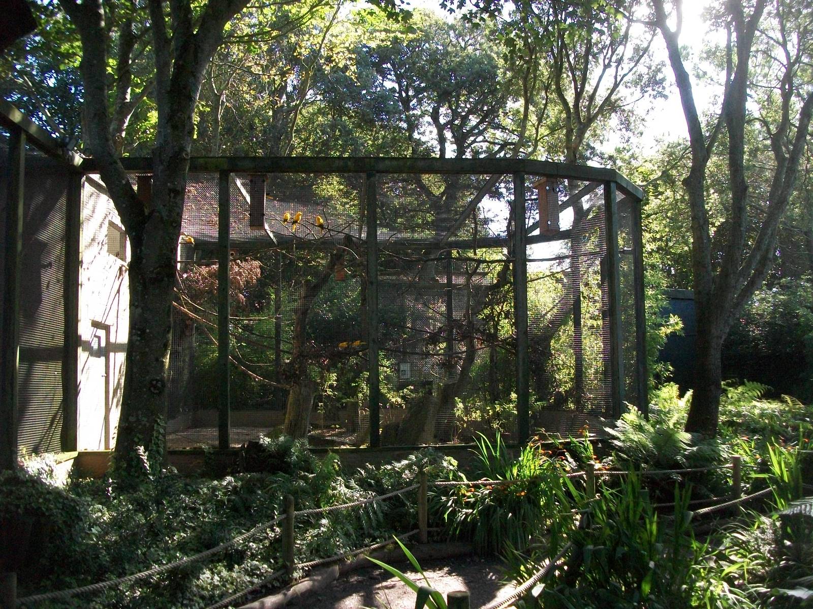 Parrot Jungle 13th September 2012